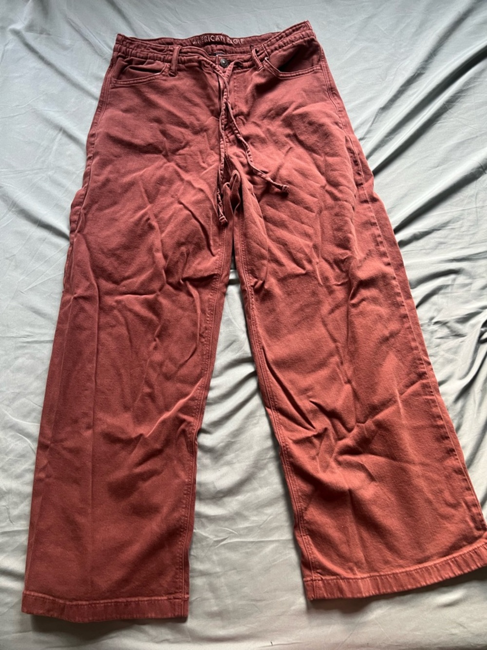 American Eagle Outfitters Wide-Leg Pants in Rust Red